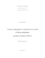 Učenje zalaganjem u zajednici kao model civilnog zalaganja: praksa u Irskoj i SAD-u