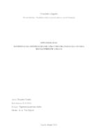 Koordinacija diferenciranih upravnih organizacija: studija slučaj Porezne uprave