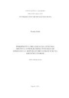Perspektiva organizacija civilnog društva o programima integracije izbjeglica u Republici Hrvatskoj iz kuta kritičke teorije