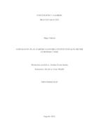 Schummanov plan, pariški ugovori i institucionalni okviri Europske Unije