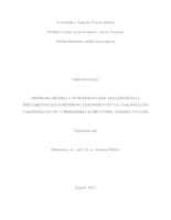 Priprema propisa u Europskoj uniji, transpozicija i implementacija europskog zakonodavstva u nacionalno zakonodavstvo s primjerima iz Hrvatske, Danske i Italije